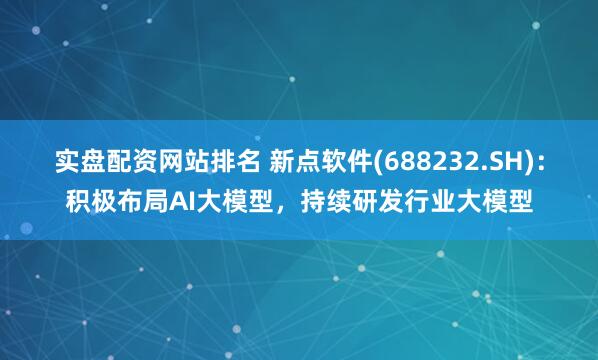 实盘配资网站排名 新点软件(688232.SH)：积极布局AI大模型，持续研发行业大模型