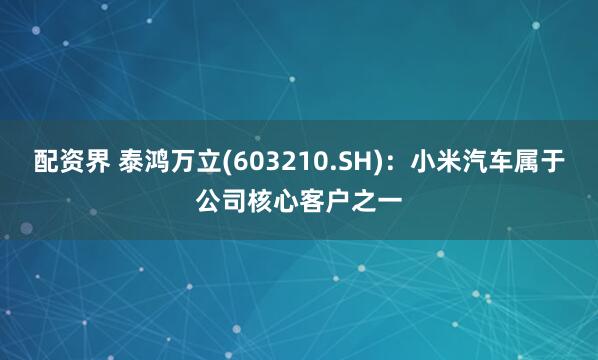 配资界 泰鸿万立(603210.SH)：小米汽车属于公司核心客户之一