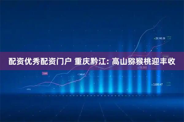 配资优秀配资门户 重庆黔江: 高山猕猴桃迎丰收
